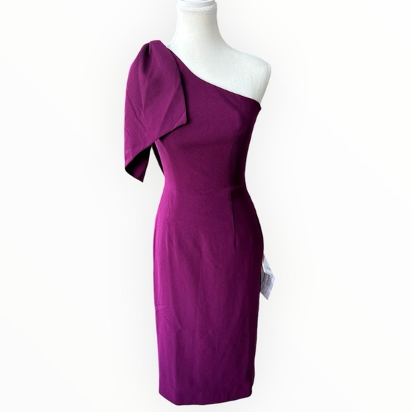 NWT Dress The Population Tiffany Dress in Dark Magenta Sz XS - Picture 5 of 14